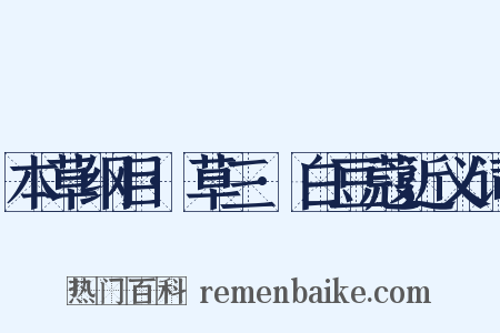 本草纲目·草三·白豆蔻近义词是什么意思的图片